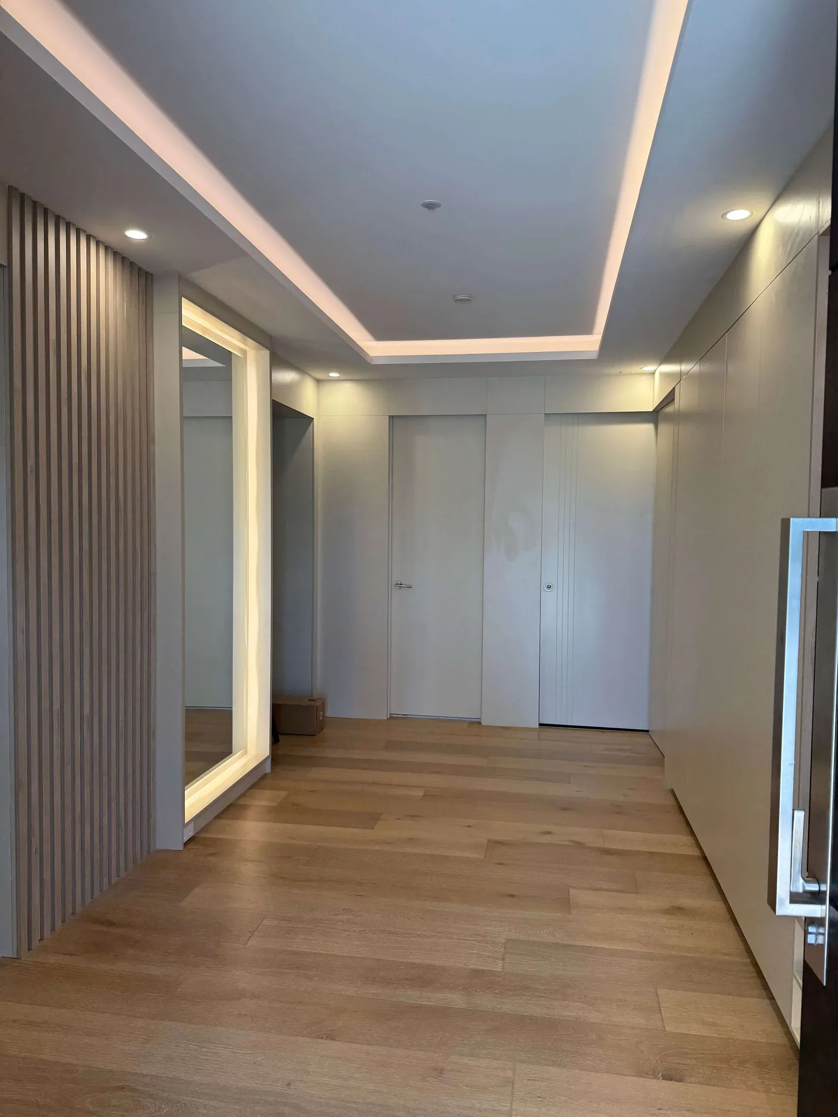 Beaumont Hills hallway storage and concealed doors